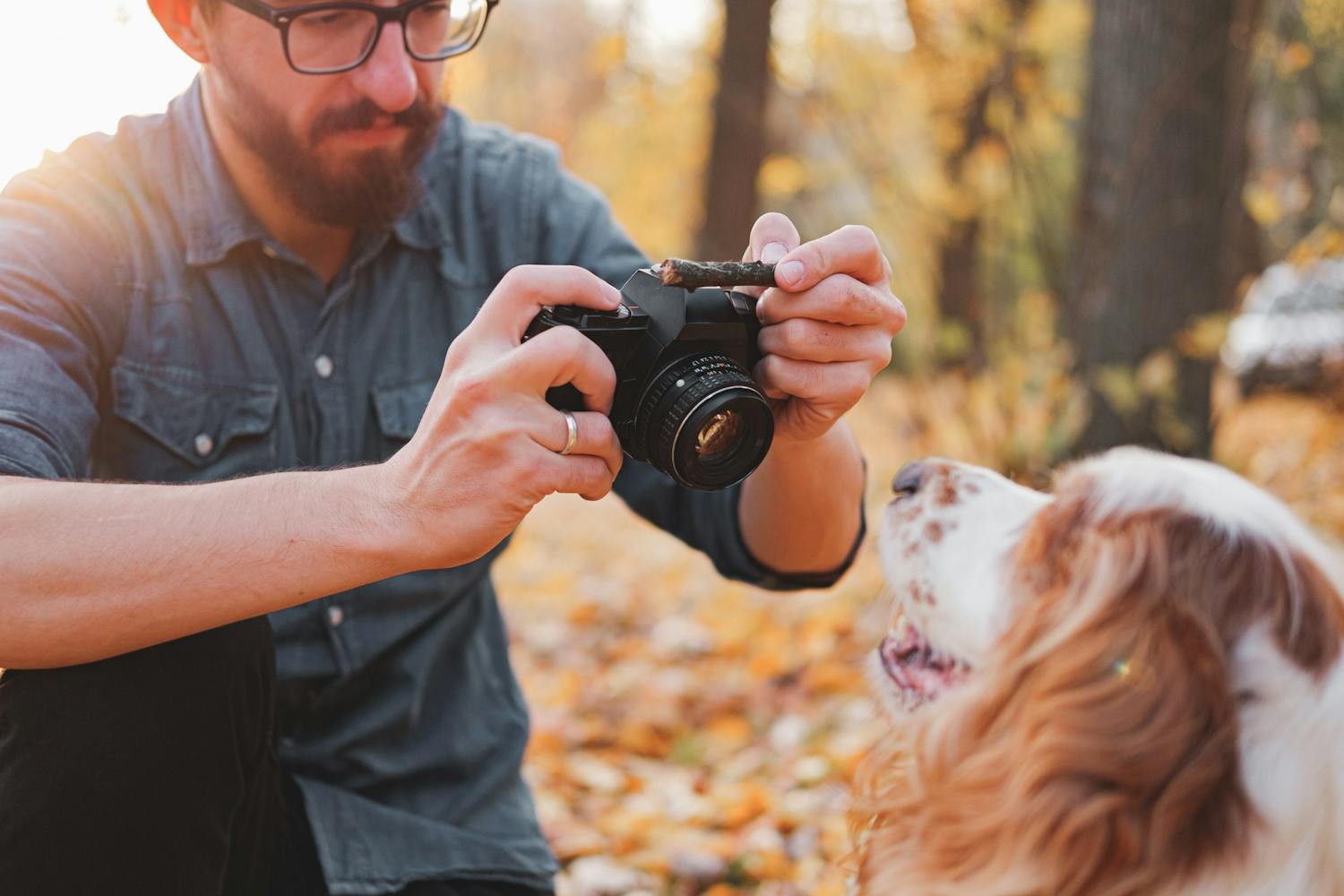 Fotograf och hund